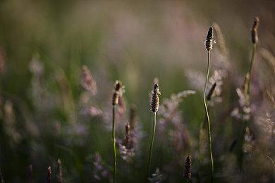 《深埋之星》公布发售日期 国内11月29日可解锁